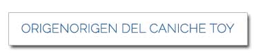 Origen Del Caniche Toy